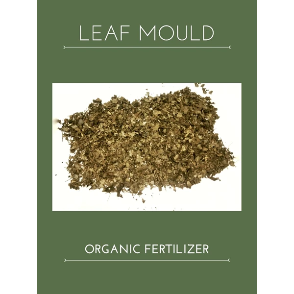 Leafmould Leafmold Organic Fertilizer
